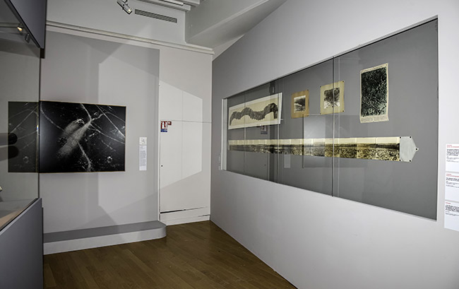 Exposition "Photographies en guerre" au Musée de l'Armée à Paris