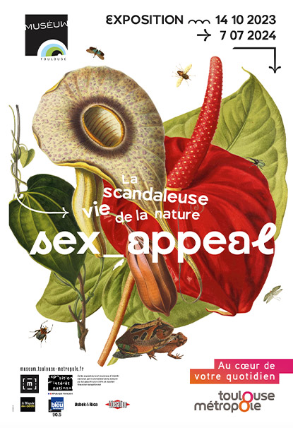 SEX_APPEAL