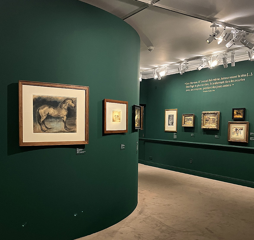 Exposition temporaire "Les chevaux de Géricault" au Musée de la Vie romantique à Paris