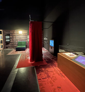 Exposition "Le temps d'un rêve" au Musée des Confluences à Lyon