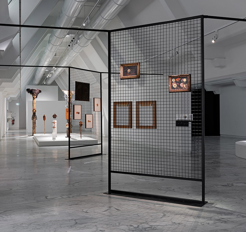 Exposition temporaire "Ali Cherri" au Musée d'Art Contemporain de Marseille Exposition temporaire "Ali Cherri" au Musée d'Art Contemporain de Marseille