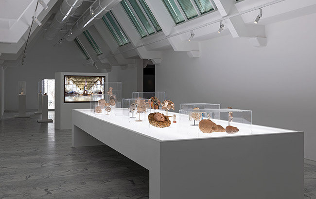 Exposition temporaire "Ali Cherri" au Musée d'Art Contemporain de Marseille Exposition temporaire "Ali Cherri" au Musée d'Art Contemporain de Marseille