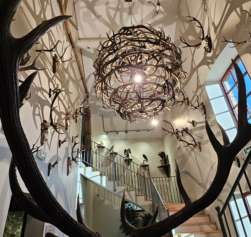 Collection de la Fédération des Chasseurs de l'Allier