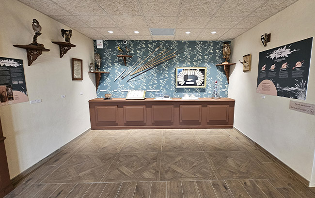 Collection de la Fédération des Chasseurs de l'Allier