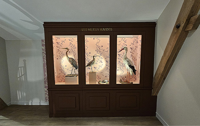 Collection de la Fédération des Chasseurs de l'Allier